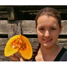 SPRAY FREE NEW SEASONS QUARTER CROWN PUMPKIN  - MEDIUM - KATIKATI Grown 